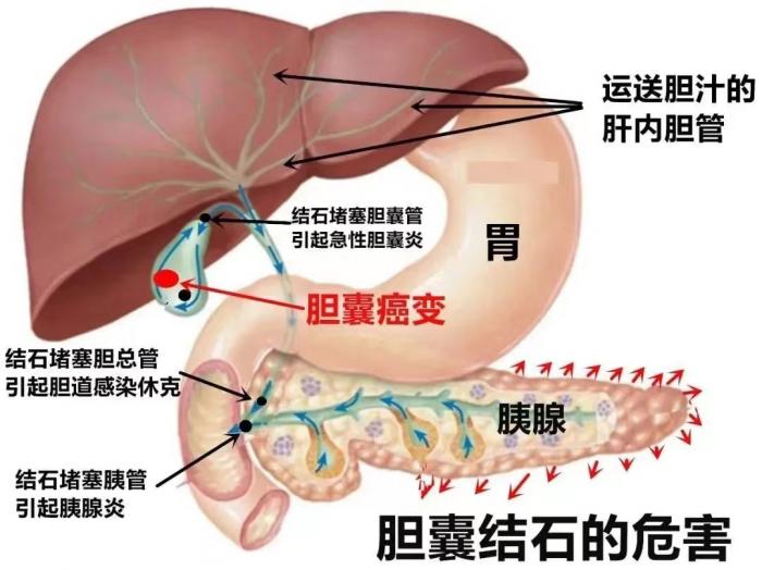 微信图片_20240112151344.jpg