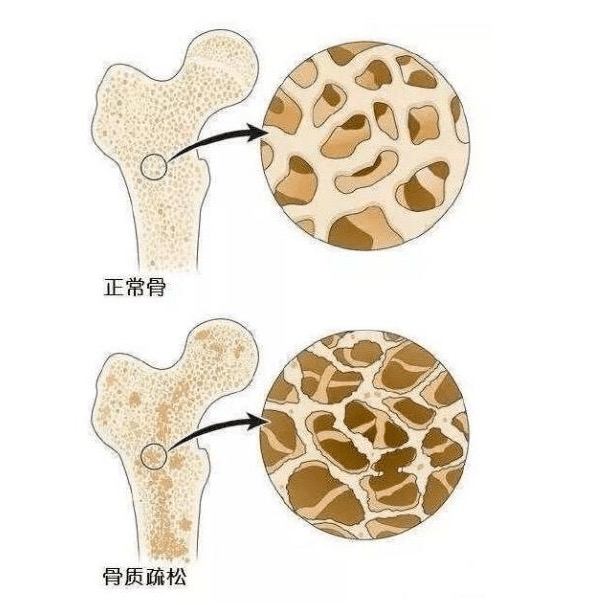 微信图片_20240606115541.jpg