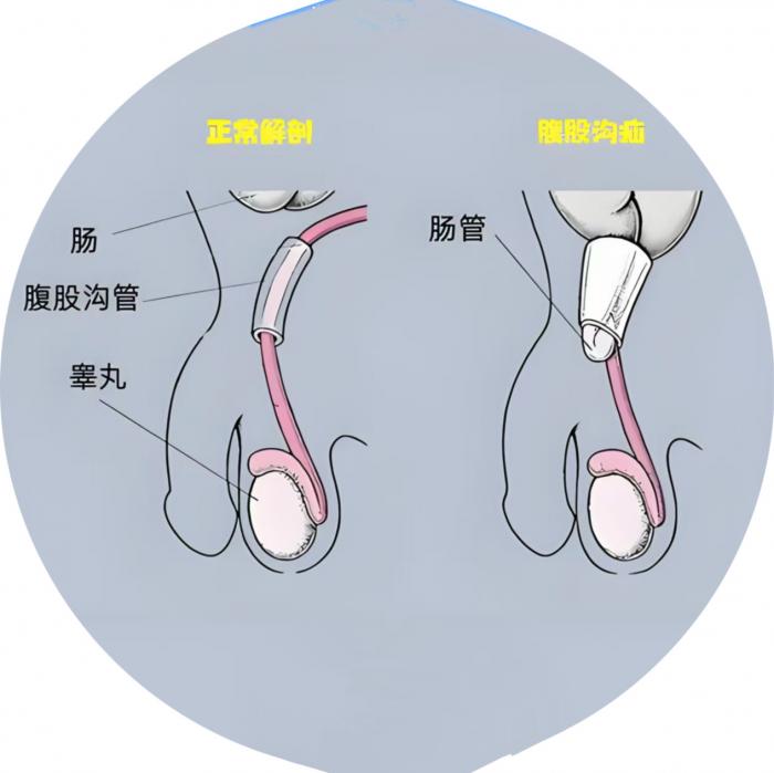 微信图片_20250723165023.jpg