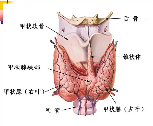 f660471b36da7df86bcbe92f8f4005fc.png f660471b36da7df86bcbe92f8f4005fc.png