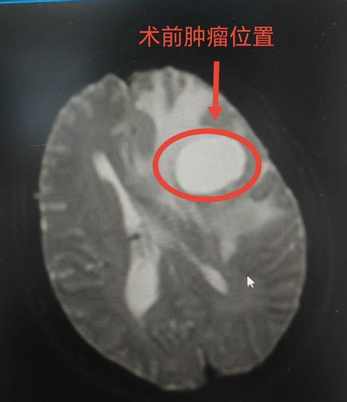微信图片_20260429152612_40_158.jpg