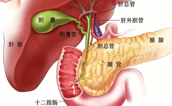 处理图片使其更清晰_副本.png